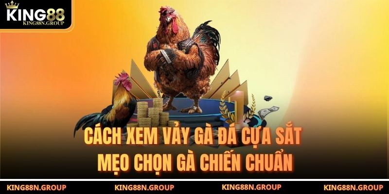 Cách Xem Vảy Gà Đá Cựa Sắt - Mẹo Chọn Gà Chiến Chuẩn