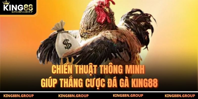 Chiến thuật thông minh giúp thắng cược đá gà King88
