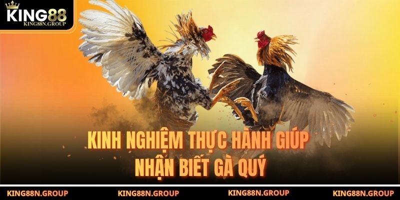 Kinh nghiệm thực hành giúp nhận biết gà quý
