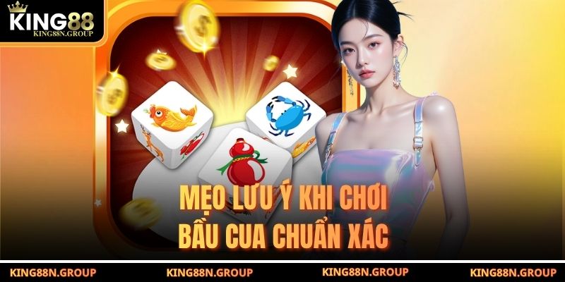 Mẹo lưu ý khi chơi bầu cua chuẩn xác