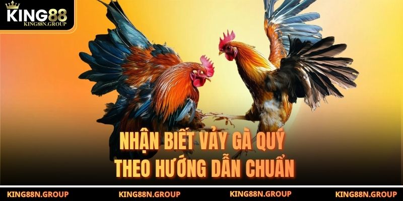 Nhận biết vảy gà quý theo hướng dẫn chuẩn