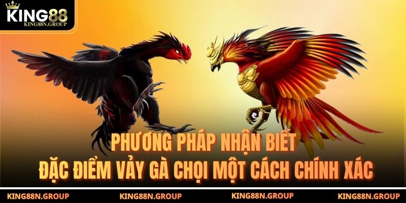 Phương pháp nhận biết đặc điểm vảy gà chọi một cách chính xác