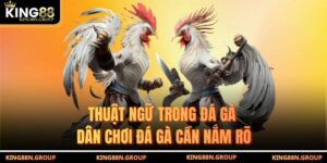 Thuật Ngữ Trong Đá Gà - Dân Chơi Đá Gà Cần Nắm Rõ