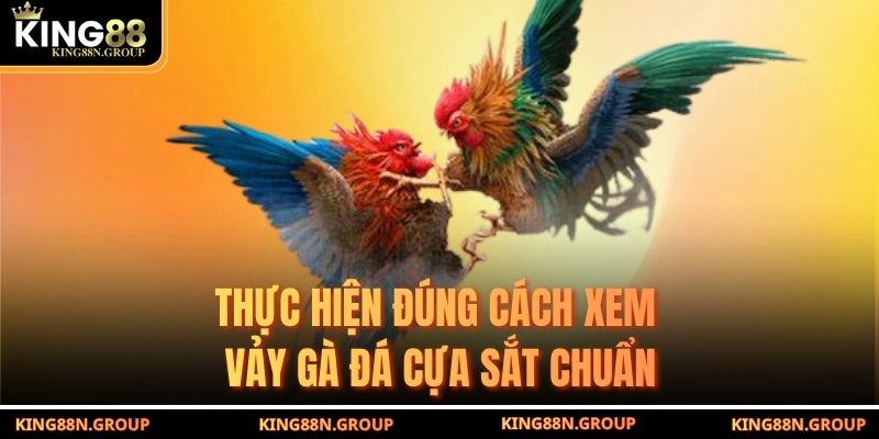 Thực hiện đúng cách xem vảy gà đá cựa sắt chuẩn