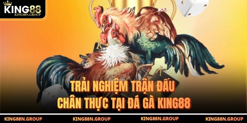 Trải nghiệm trận đấu chân thực tại đá gà King88