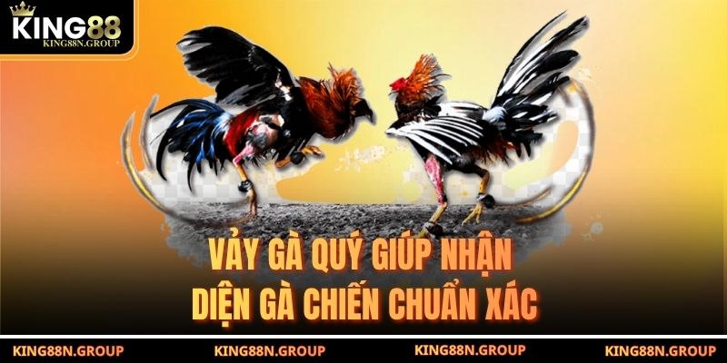 Vảy gà quý giúp nhận diện gà chiến chuẩn xác